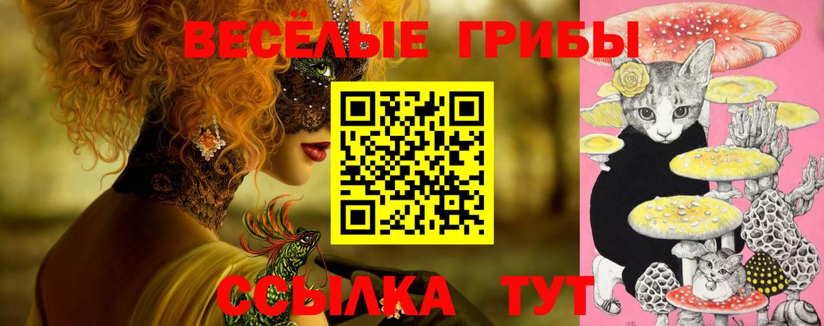где купить наркотик  Галлюциногенные грибы ЛСД  Вход с VPN  Благодарный 